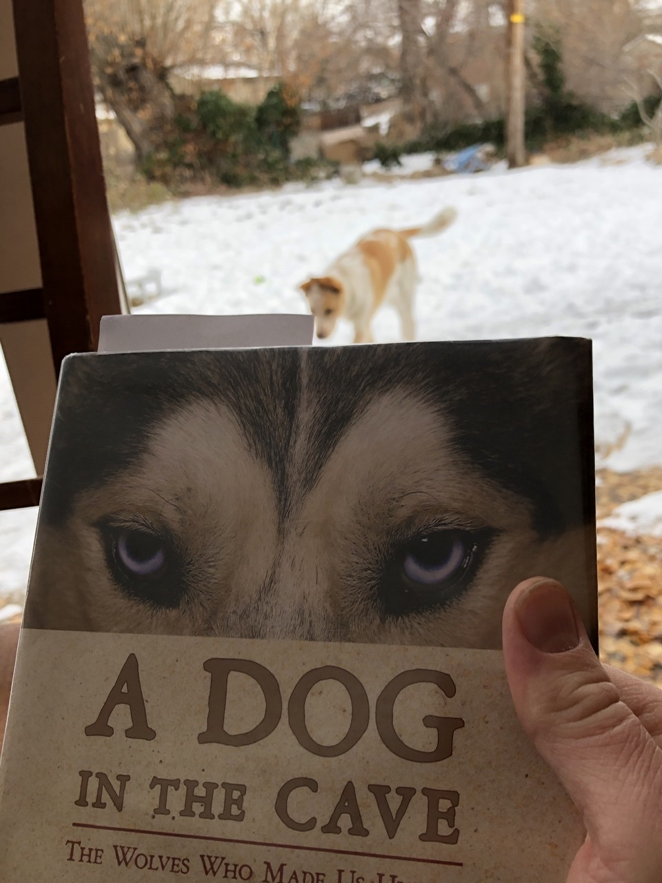 A Dog in the Cave by Kay Frydenborg, with Luna in background